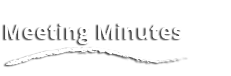 Meeting Minutes